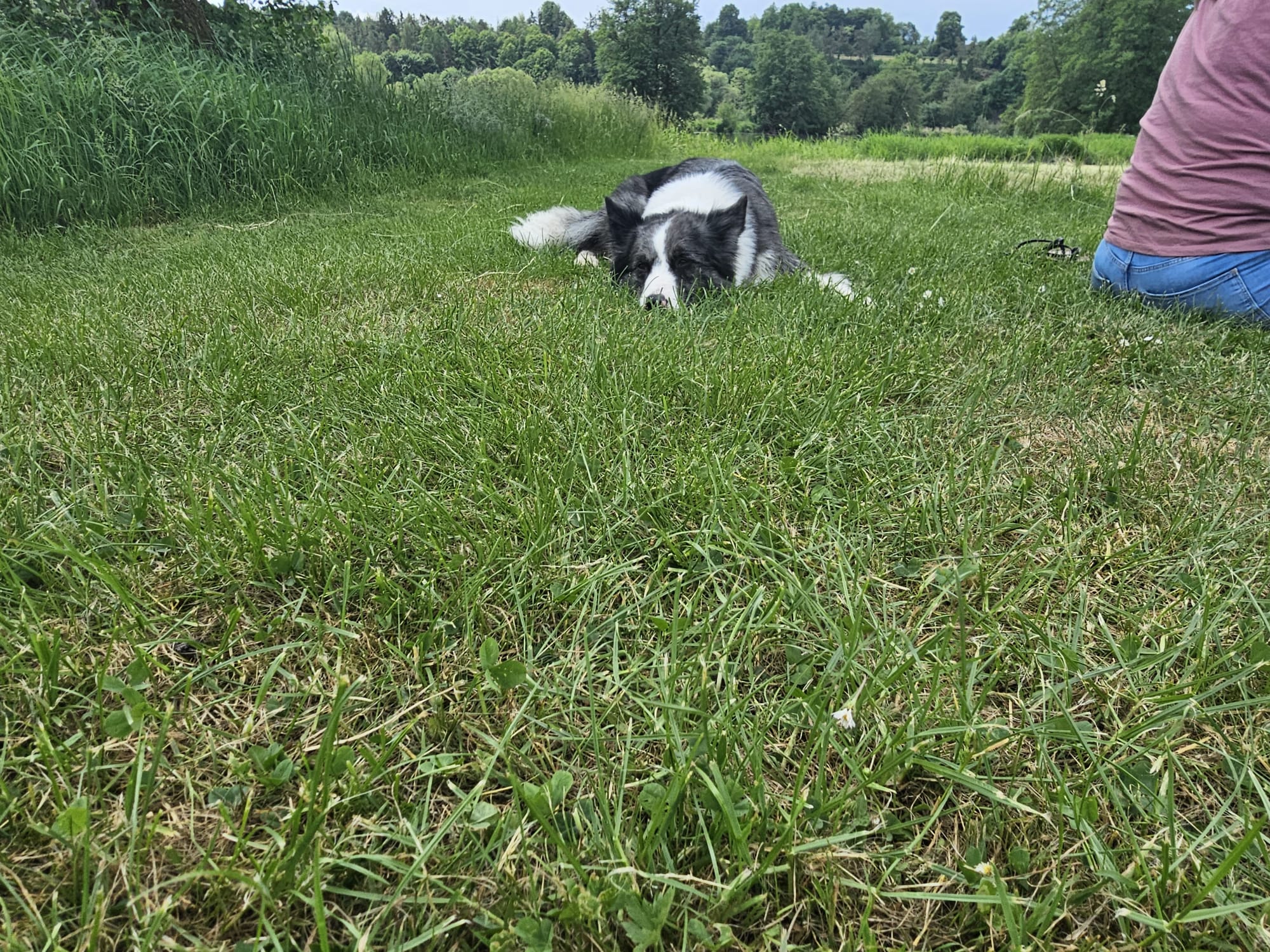 Vergrößerbares Bild